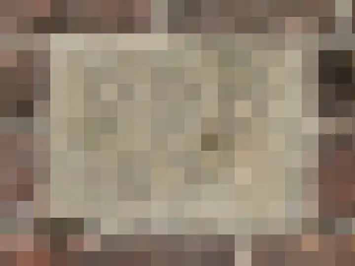 Molenstraat 4 Hoedekenskerke thumbnail 17