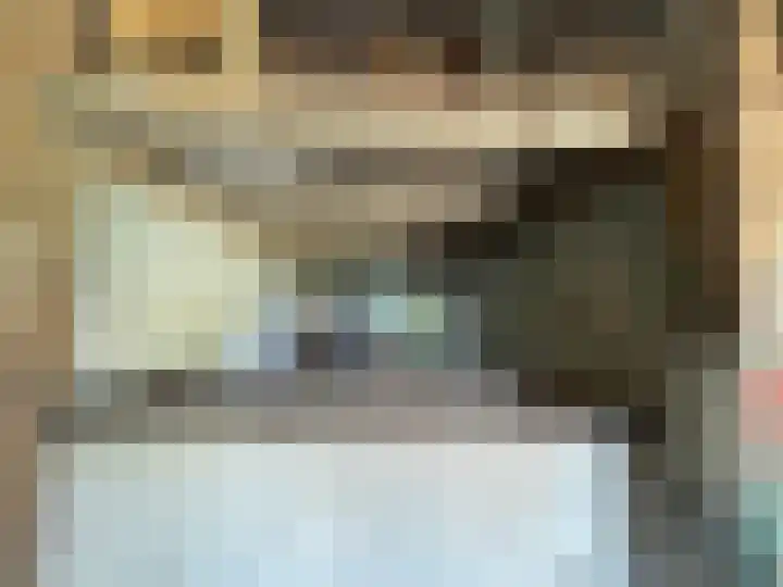 Molenstraat 4 Hoedekenskerke thumbnail 20