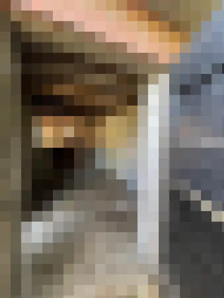 Molenstraat 4 Hoedekenskerke thumbnail 21