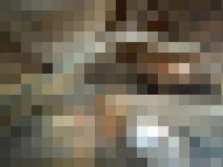 Molenstraat 4 Hoedekenskerke thumbnail 23