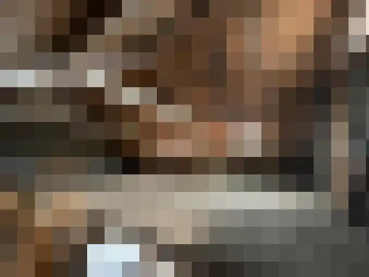 Molenstraat 4 Hoedekenskerke thumbnail 24