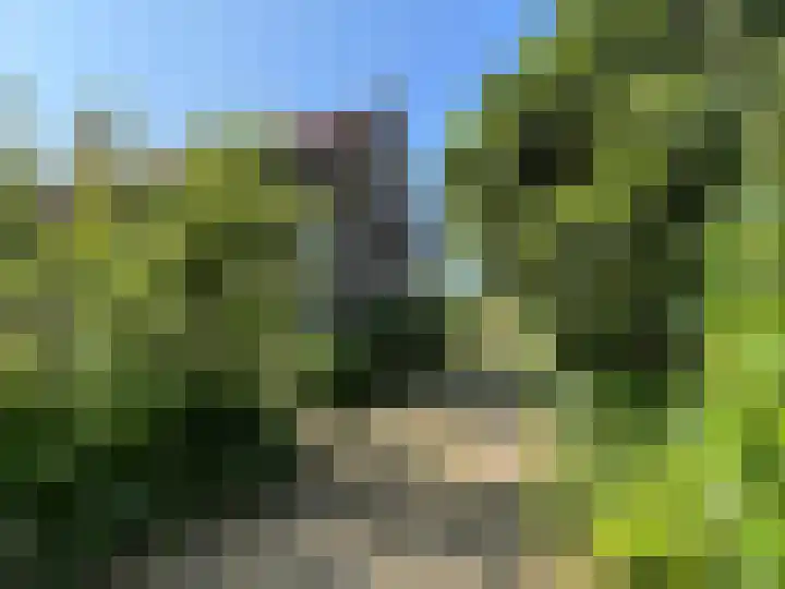 Molenstraat 4 Hoedekenskerke thumbnail 25