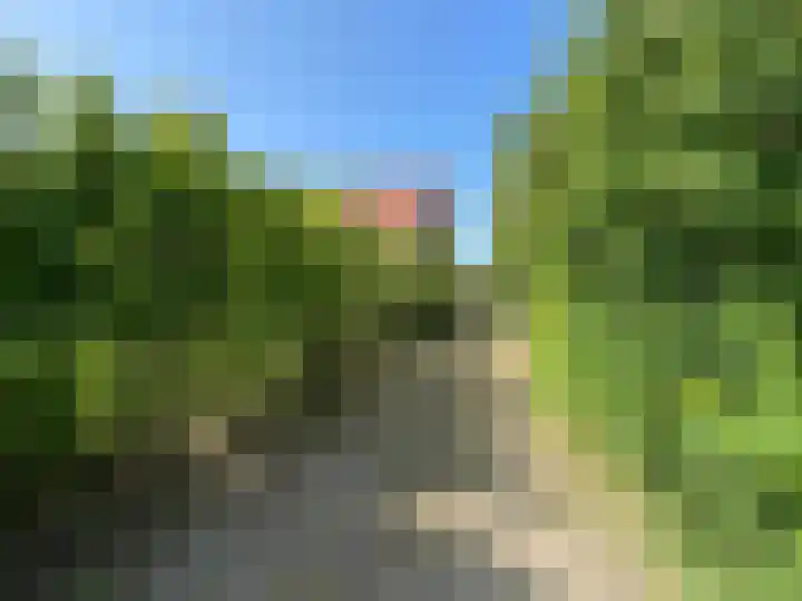 Molenstraat 4 Hoedekenskerke thumbnail 26