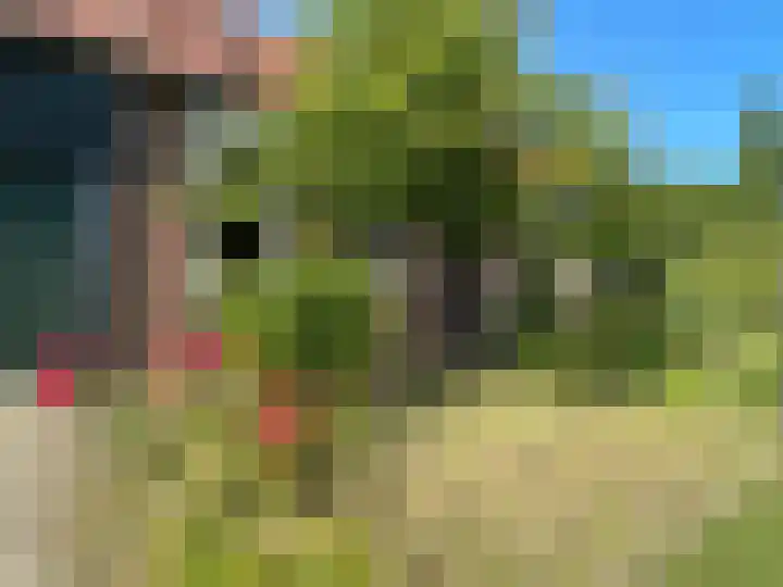 Molenstraat 4 Hoedekenskerke thumbnail 28