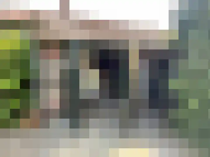 Molenstraat 4 Hoedekenskerke thumbnail 30