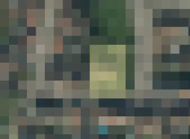 Molenstraat 4 Hoedekenskerke thumbnail 31
