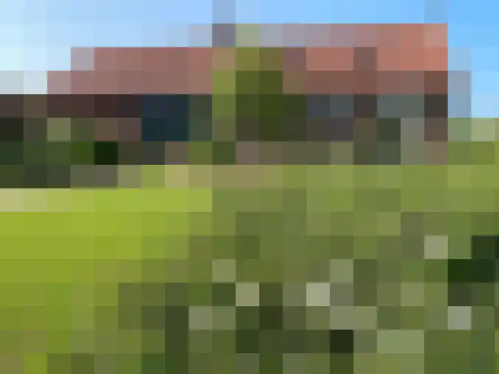 Molenstraat 4 Hoedekenskerke thumbnail 32