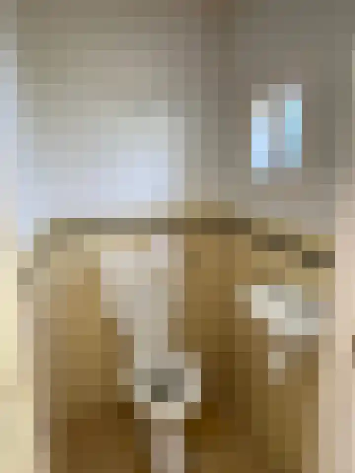 Molenstraat 4 Hoedekenskerke thumbnail 6