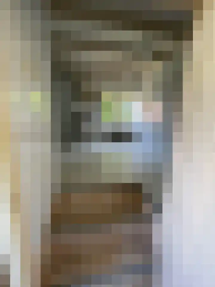 Molenstraat 4 Hoedekenskerke thumbnail 8