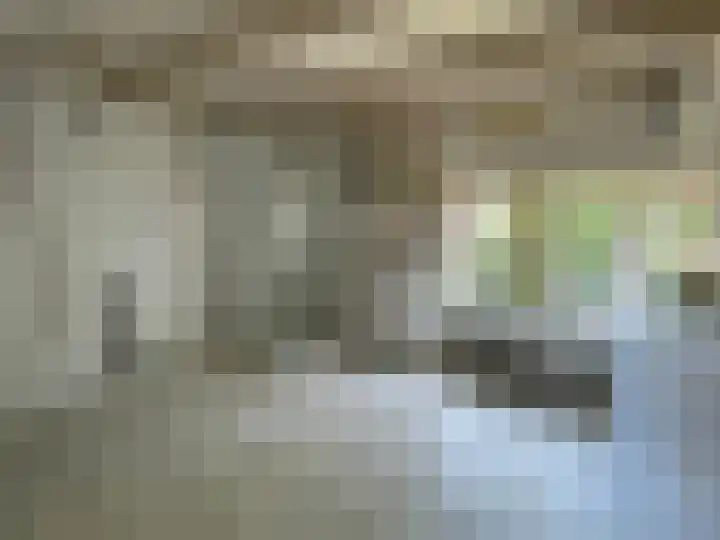 Molenstraat 4 Hoedekenskerke thumbnail 9