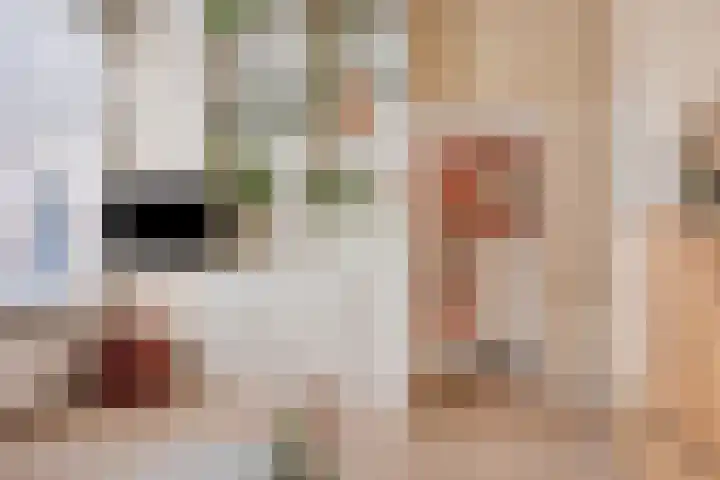 Molenstraat 4 Kampen thumbnail 12