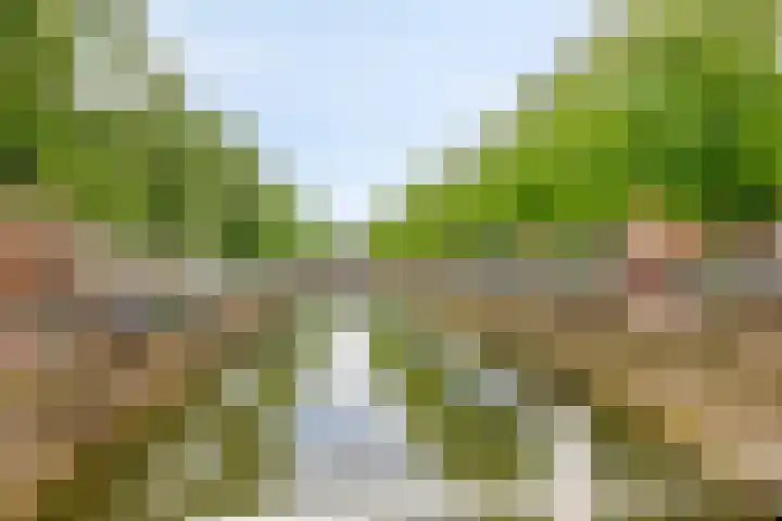 Molenstraat 4 Kampen thumbnail 32