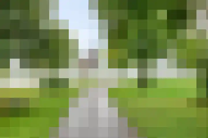 Molenstraat 4 Kampen thumbnail 33