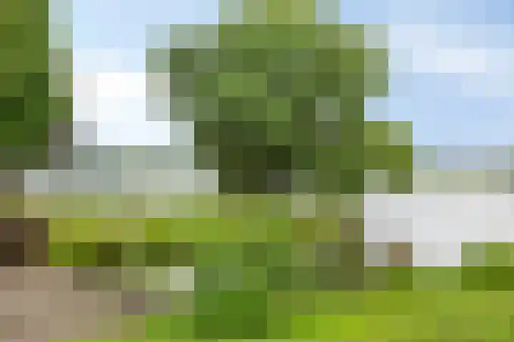 Molenstraat 4 Kampen thumbnail 34