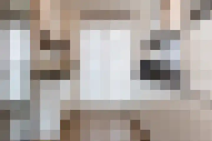 Molenstraat 4 Schoonhoven thumbnail 11