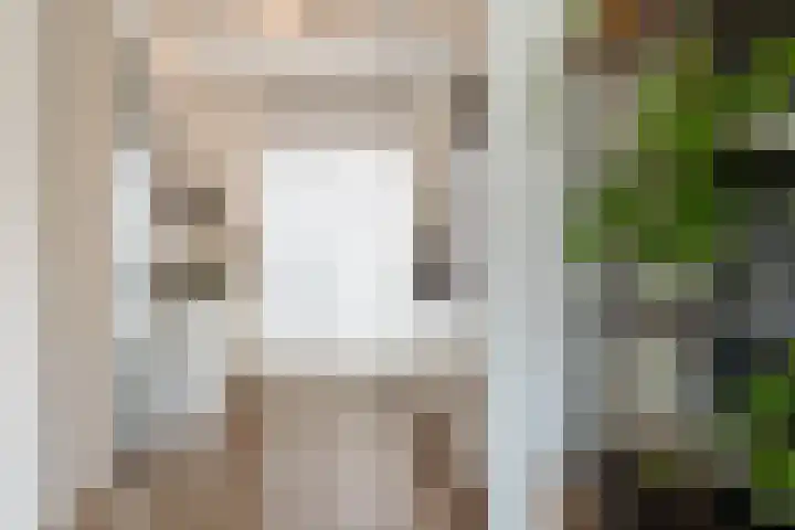 Molenstraat 4 Schoonhoven thumbnail 12