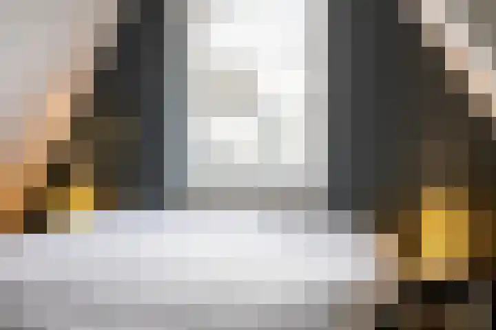 Molenstraat 4 Schoonhoven thumbnail 28