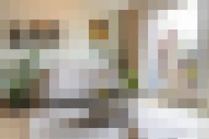 Molenstraat 4 Schoonhoven thumbnail 5