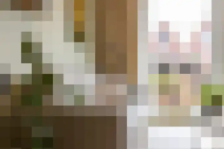 Molenstraat 4 Schoonhoven thumbnail 69