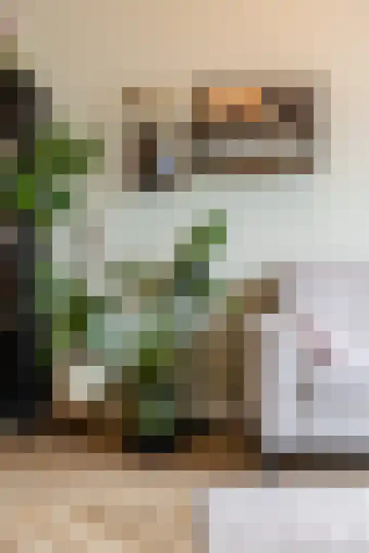 Molenstraat 4 Schoonhoven thumbnail 72