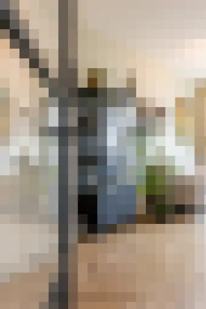 Molenstraat 4 Schoonhoven thumbnail 74