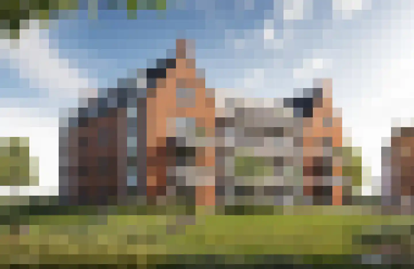 Molenstraat 4 Zaamslag