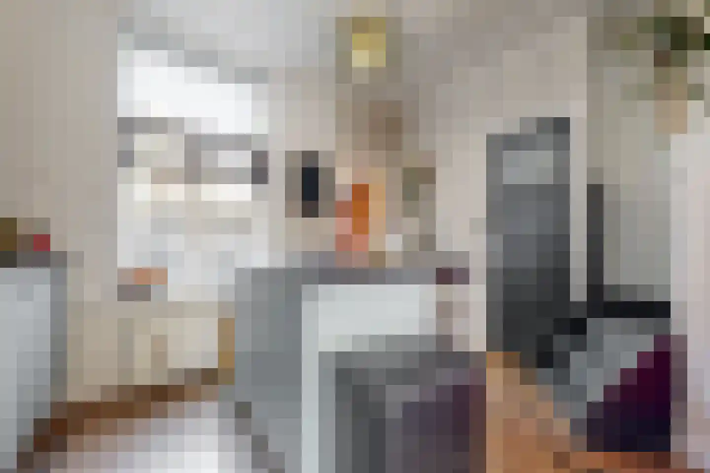 Molenstraat 4 Zwammerdam thumbnail 11