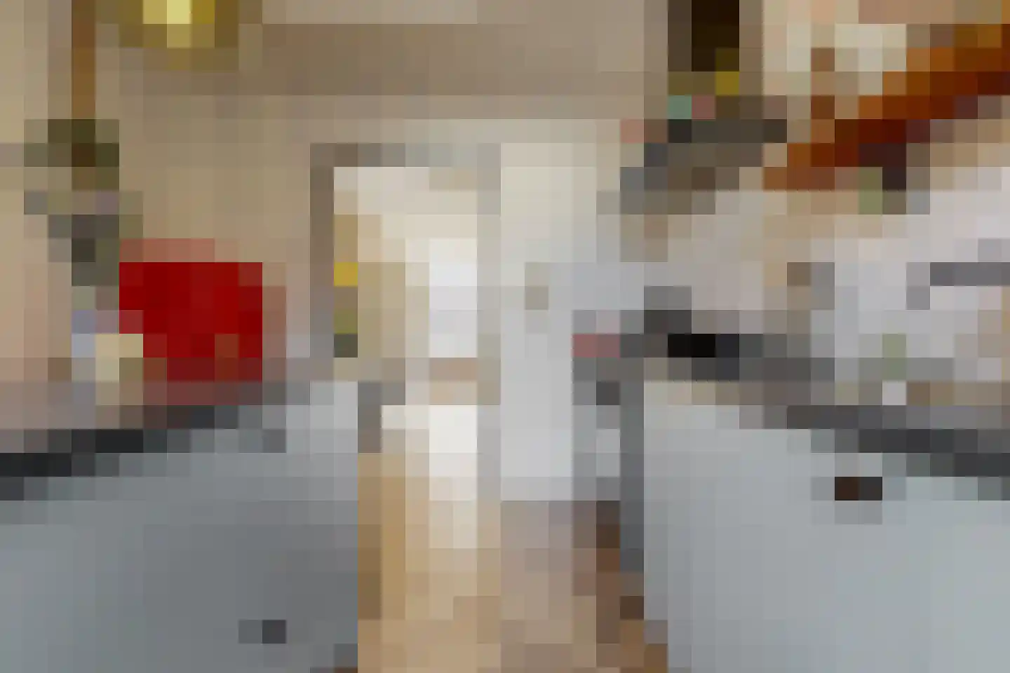 Molenstraat 4 Zwammerdam thumbnail 12