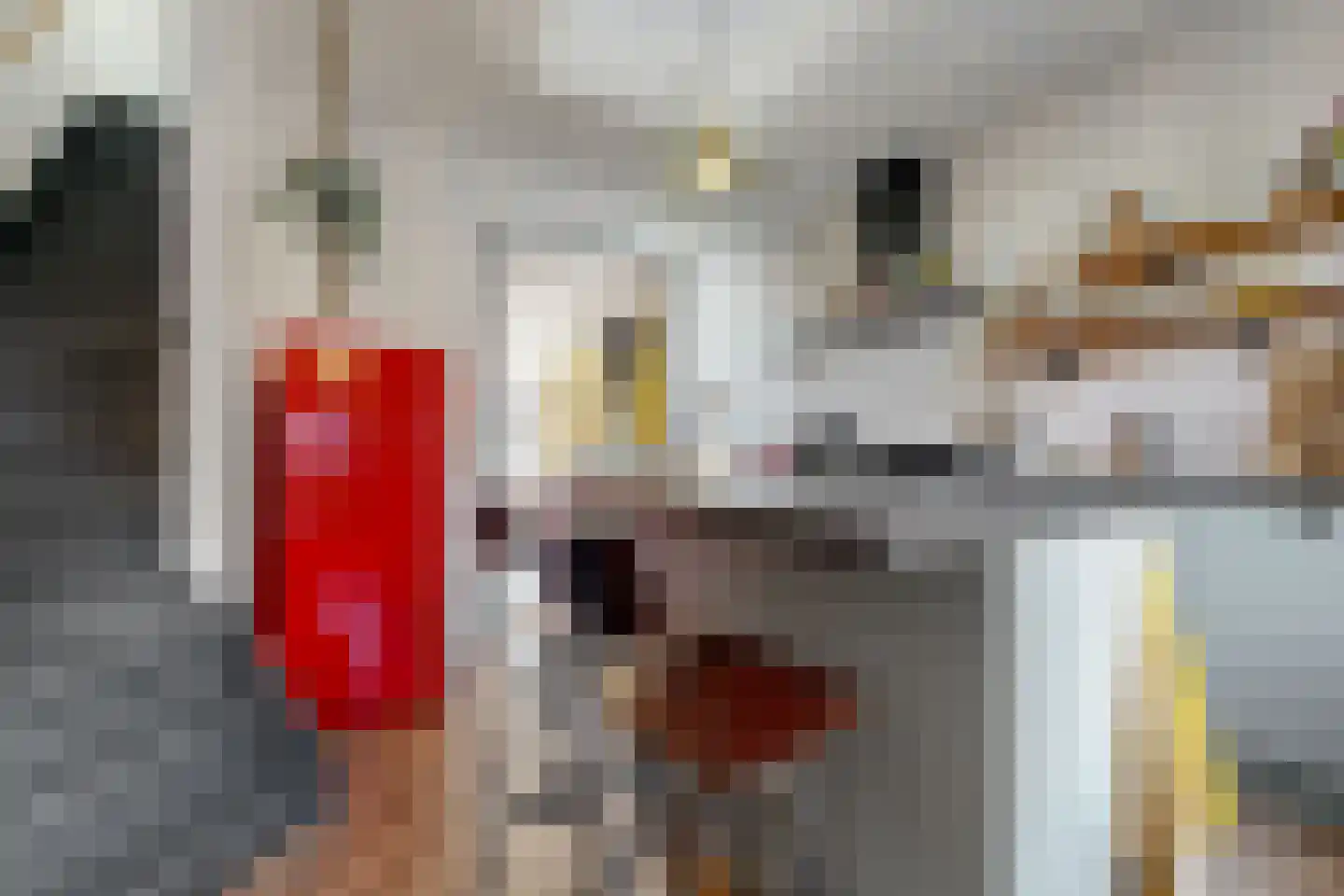 Molenstraat 4 Zwammerdam thumbnail 13