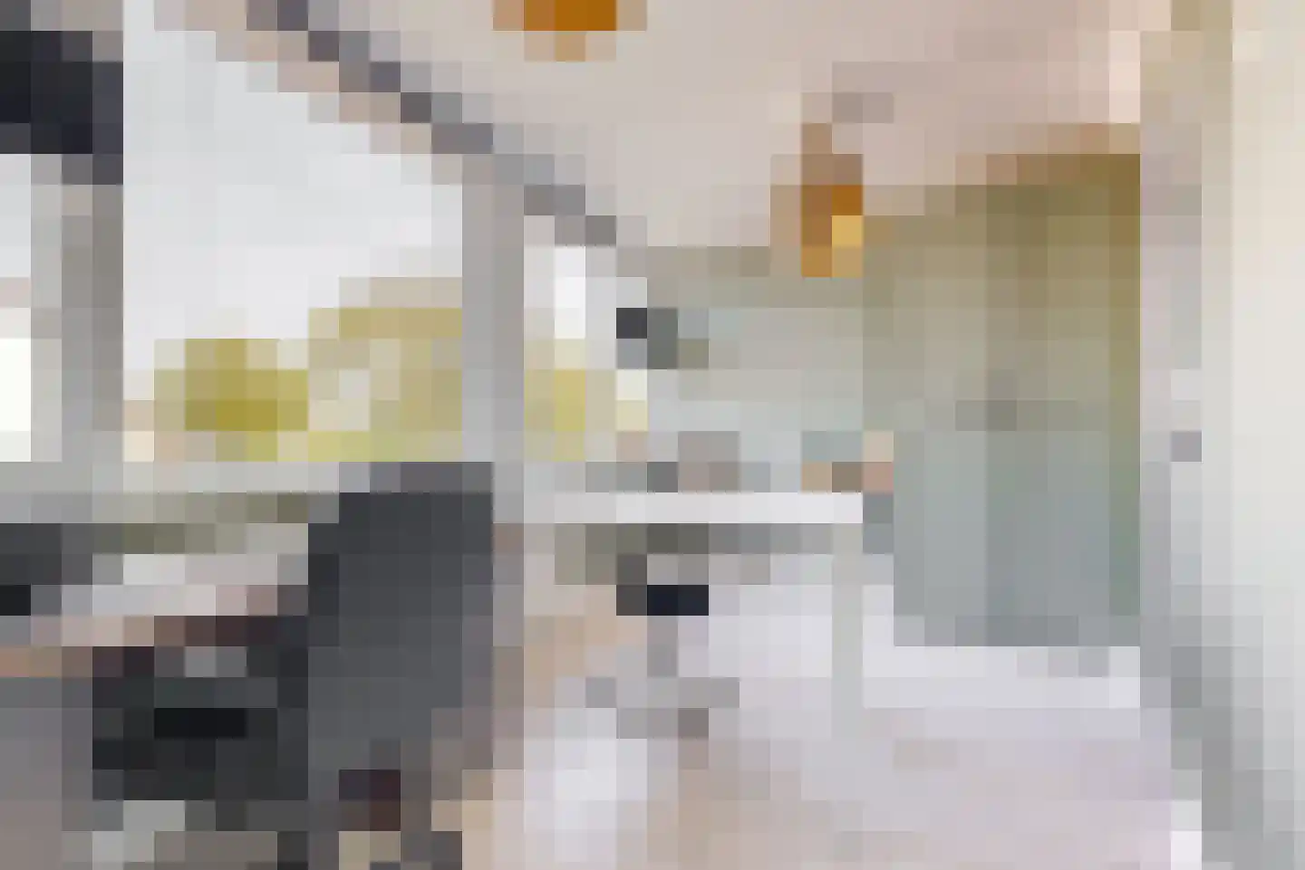 Molenstraat 4 Zwammerdam thumbnail 18