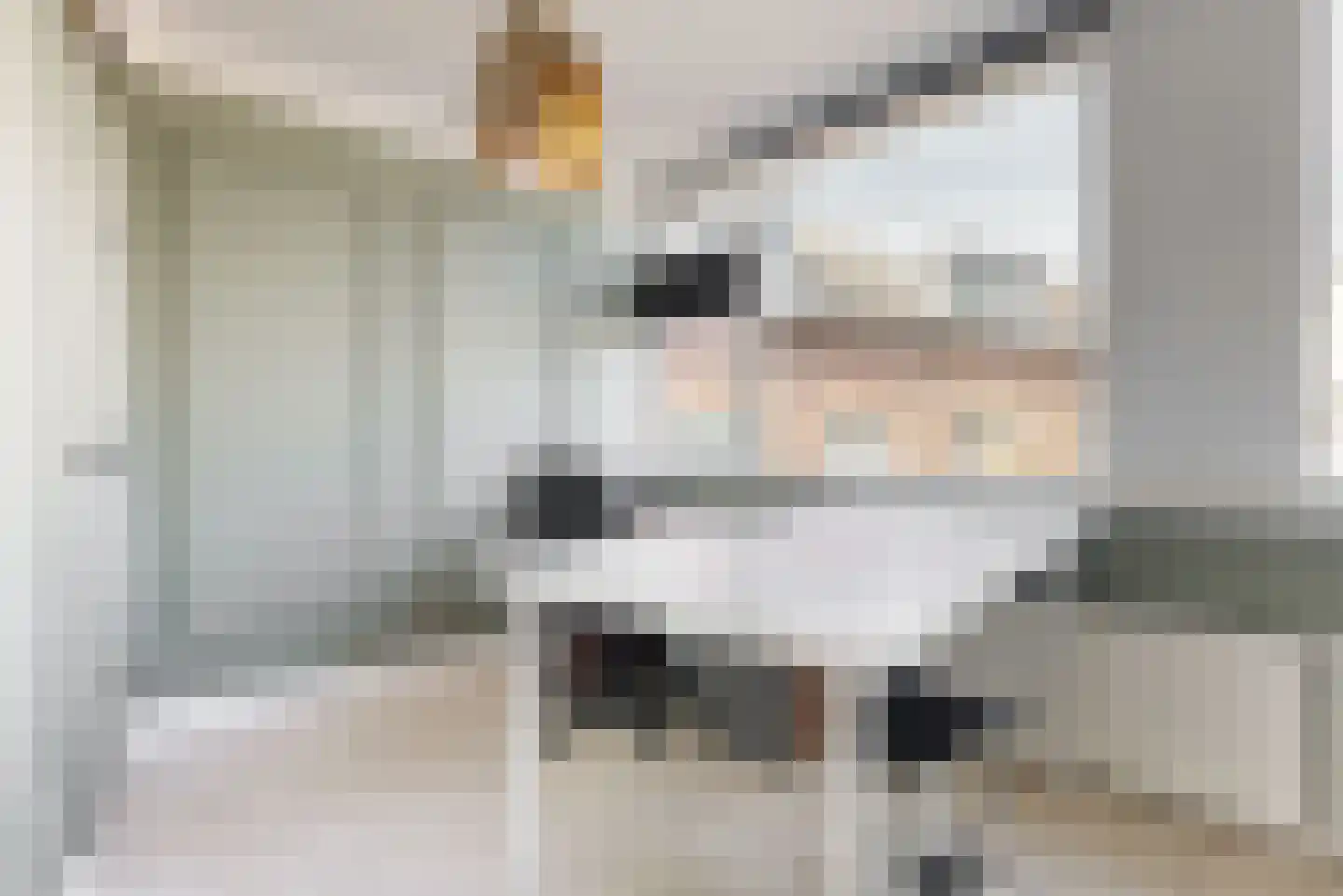 Molenstraat 4 Zwammerdam thumbnail 19