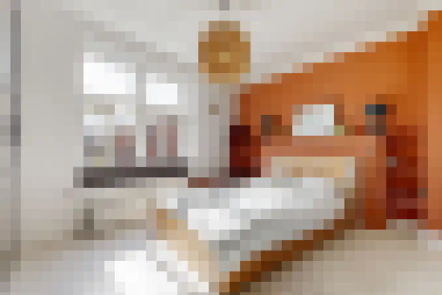 Molenstraat 4 Zwammerdam thumbnail 21