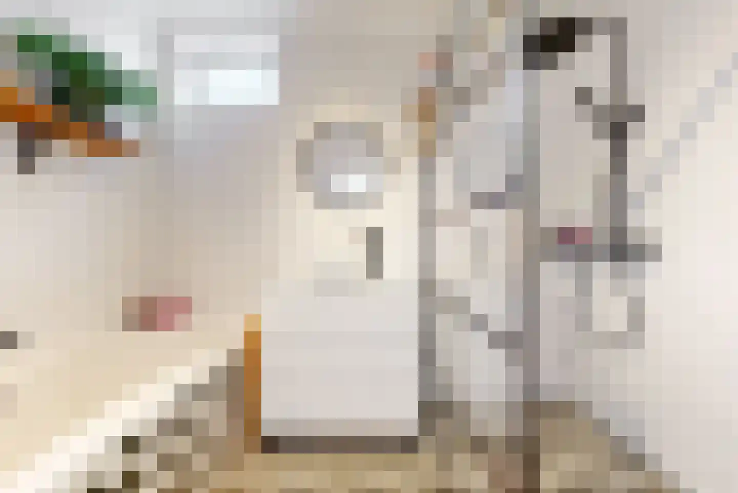 Molenstraat 4 Zwammerdam thumbnail 24