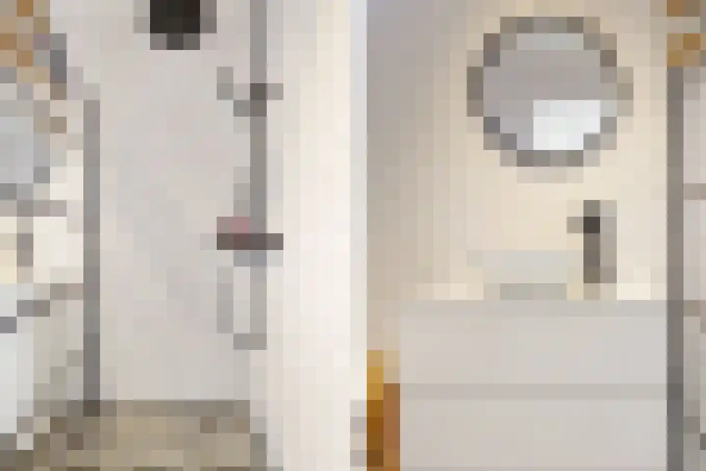 Molenstraat 4 Zwammerdam thumbnail 25