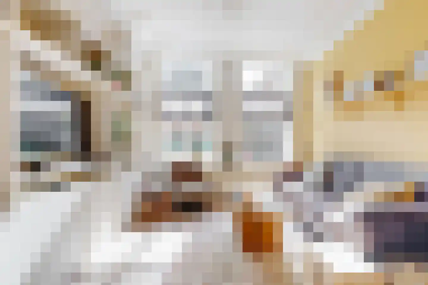 Molenstraat 4 Zwammerdam thumbnail 5