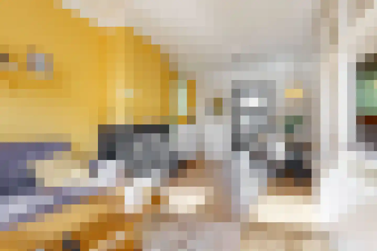 Molenstraat 4 Zwammerdam thumbnail 6