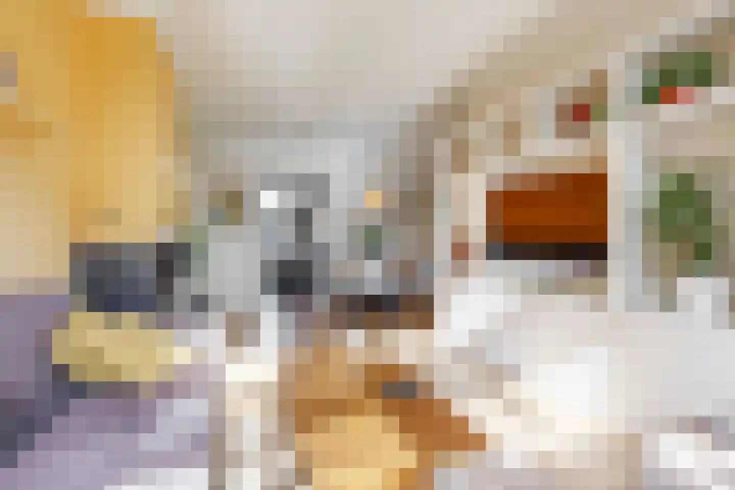 Molenstraat 4 Zwammerdam thumbnail 7