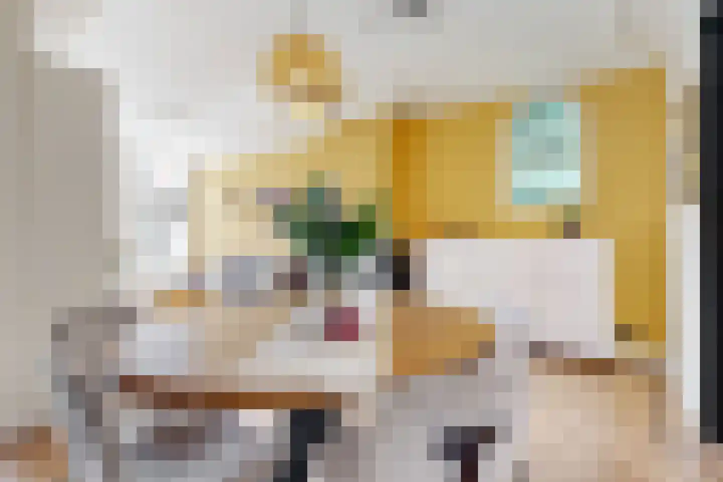 Molenstraat 4 Zwammerdam thumbnail 9