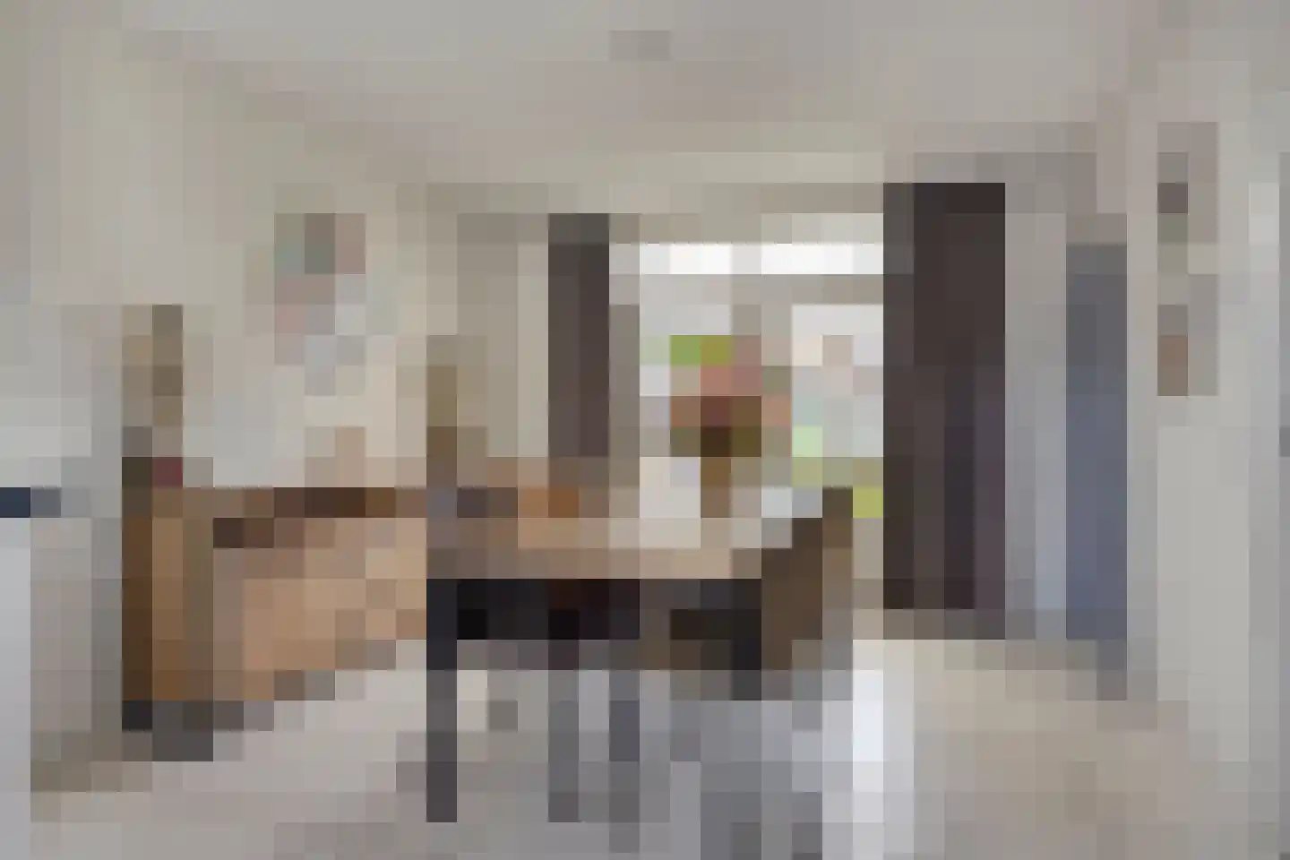 Molenstraat 40 Someren thumbnail 17