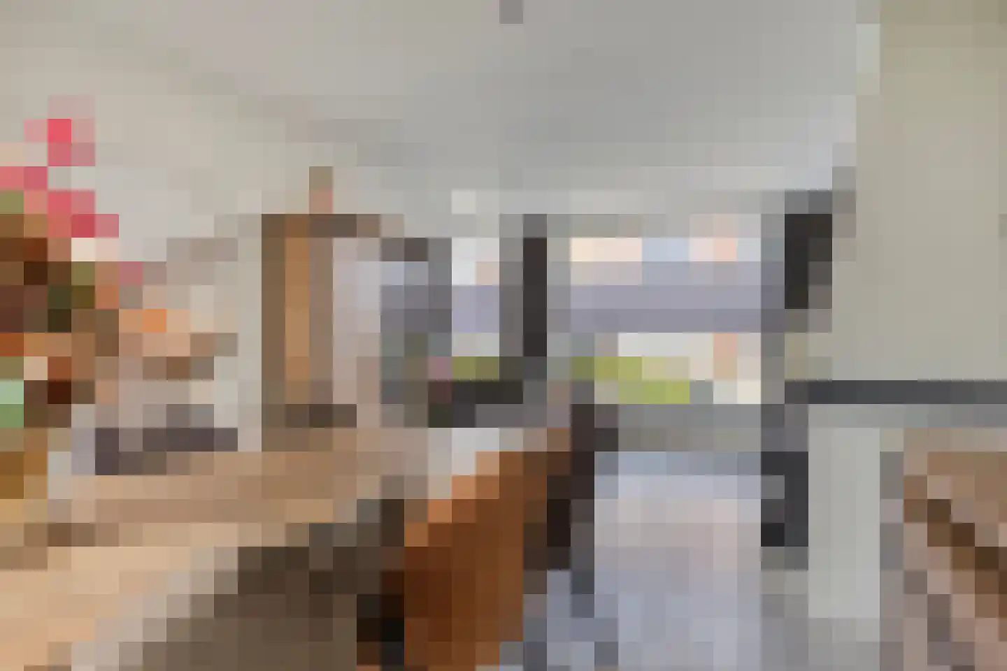 Molenstraat 40 Someren thumbnail 18