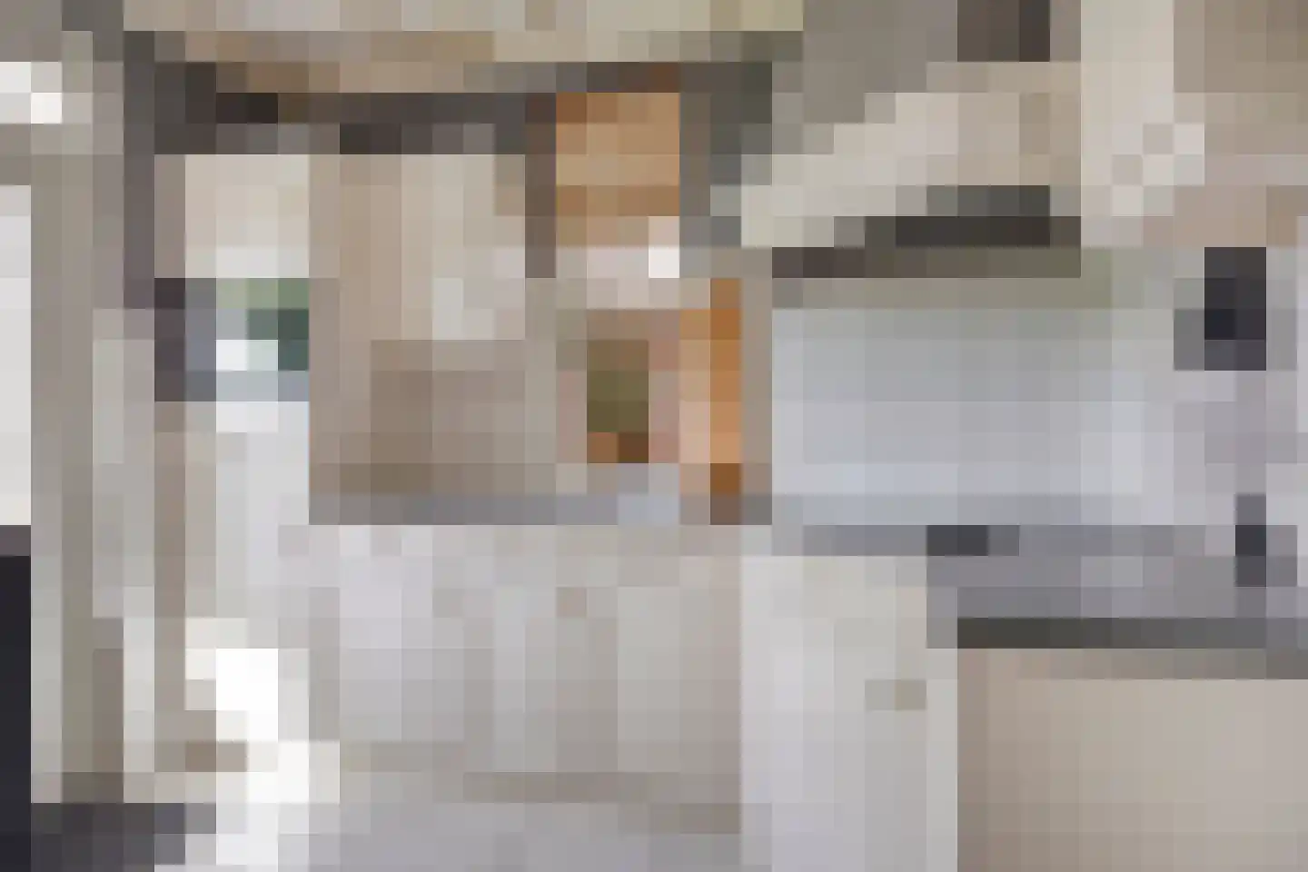 Molenstraat 40 Someren thumbnail 20