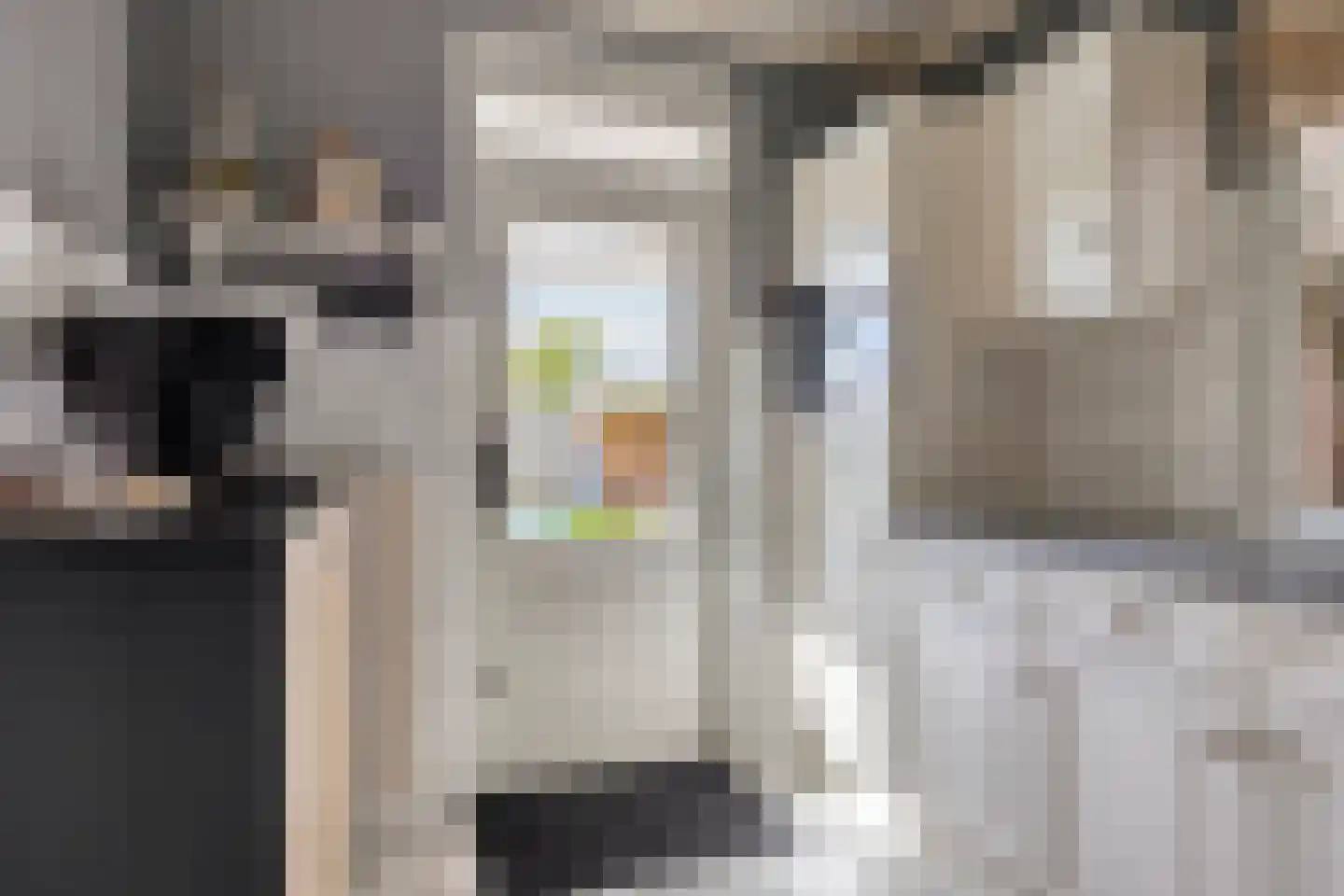 Molenstraat 40 Someren thumbnail 21