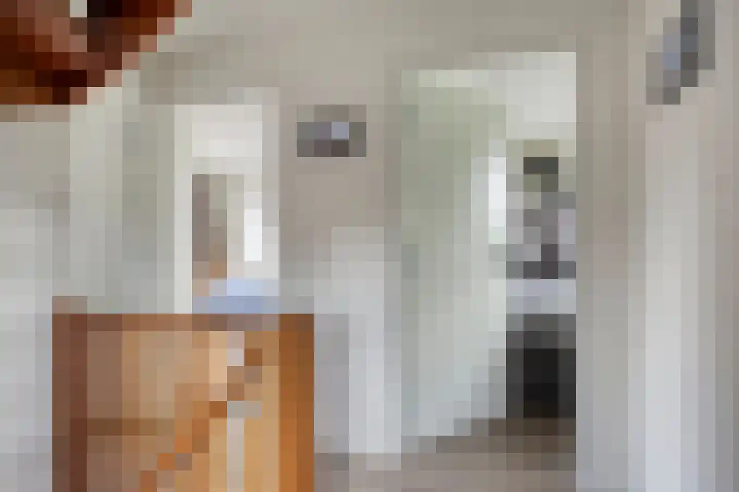 Molenstraat 40 Someren thumbnail 23