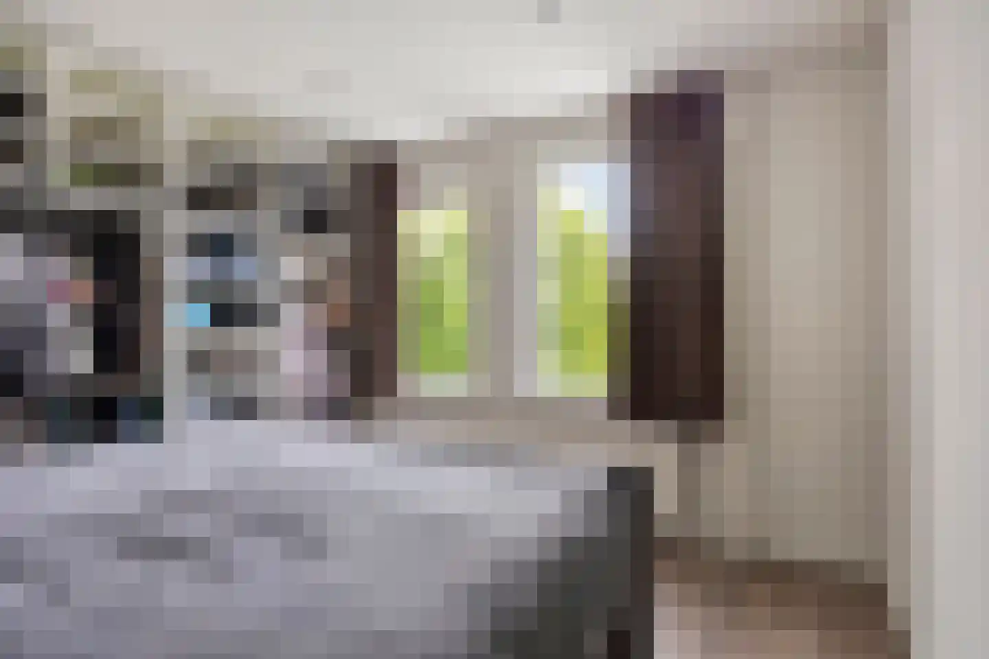 Molenstraat 40 Someren thumbnail 4