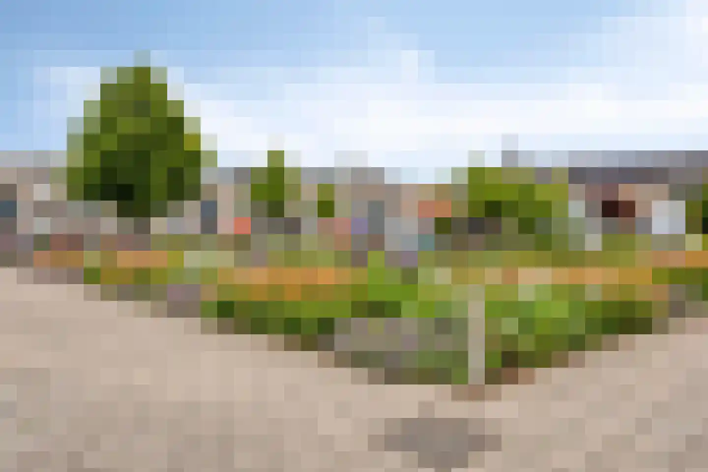 Molenstraat 40 Someren thumbnail 43