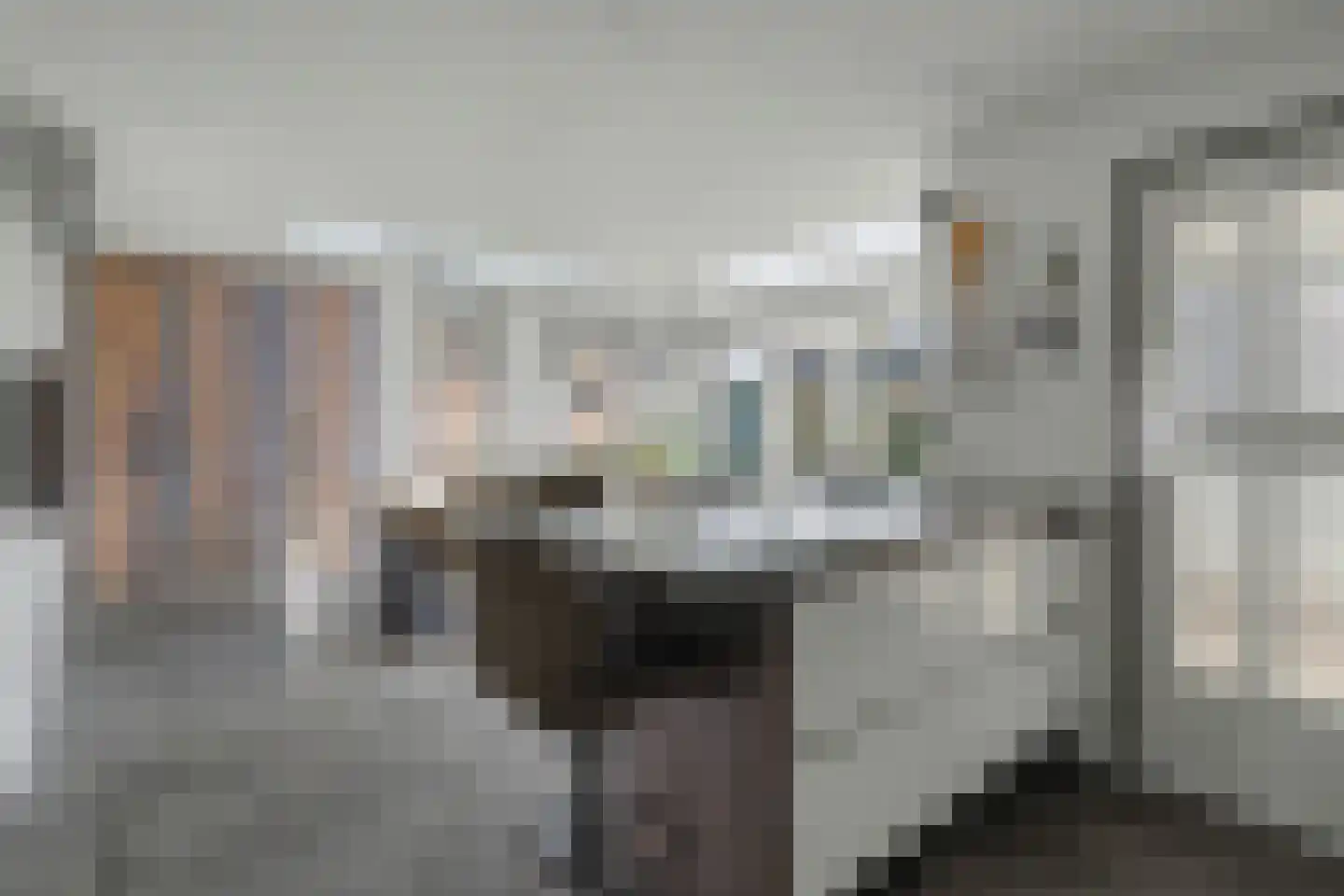 Molenstraat 41 b Goirle thumbnail 13
