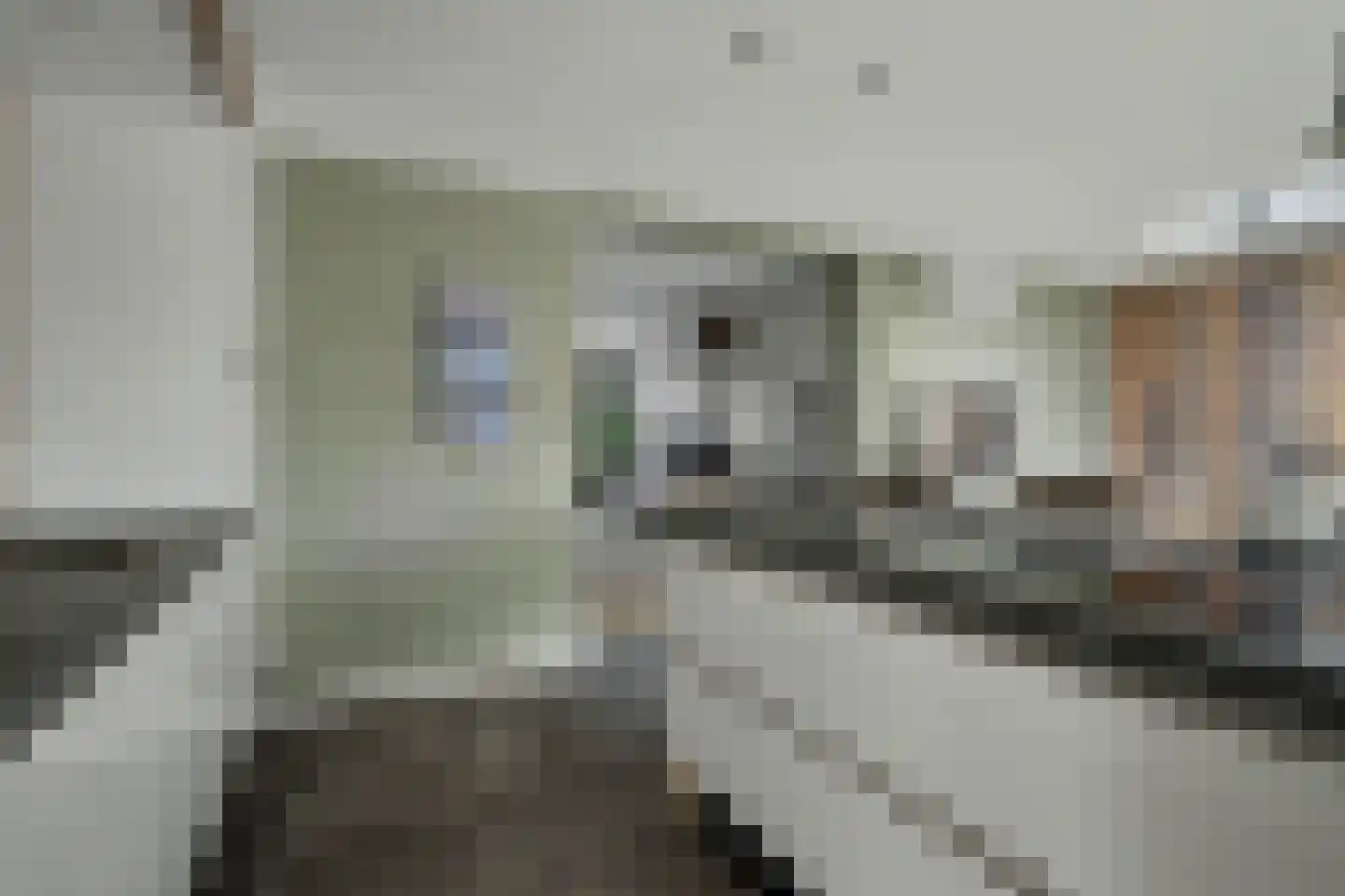 Molenstraat 41 b Goirle thumbnail 14