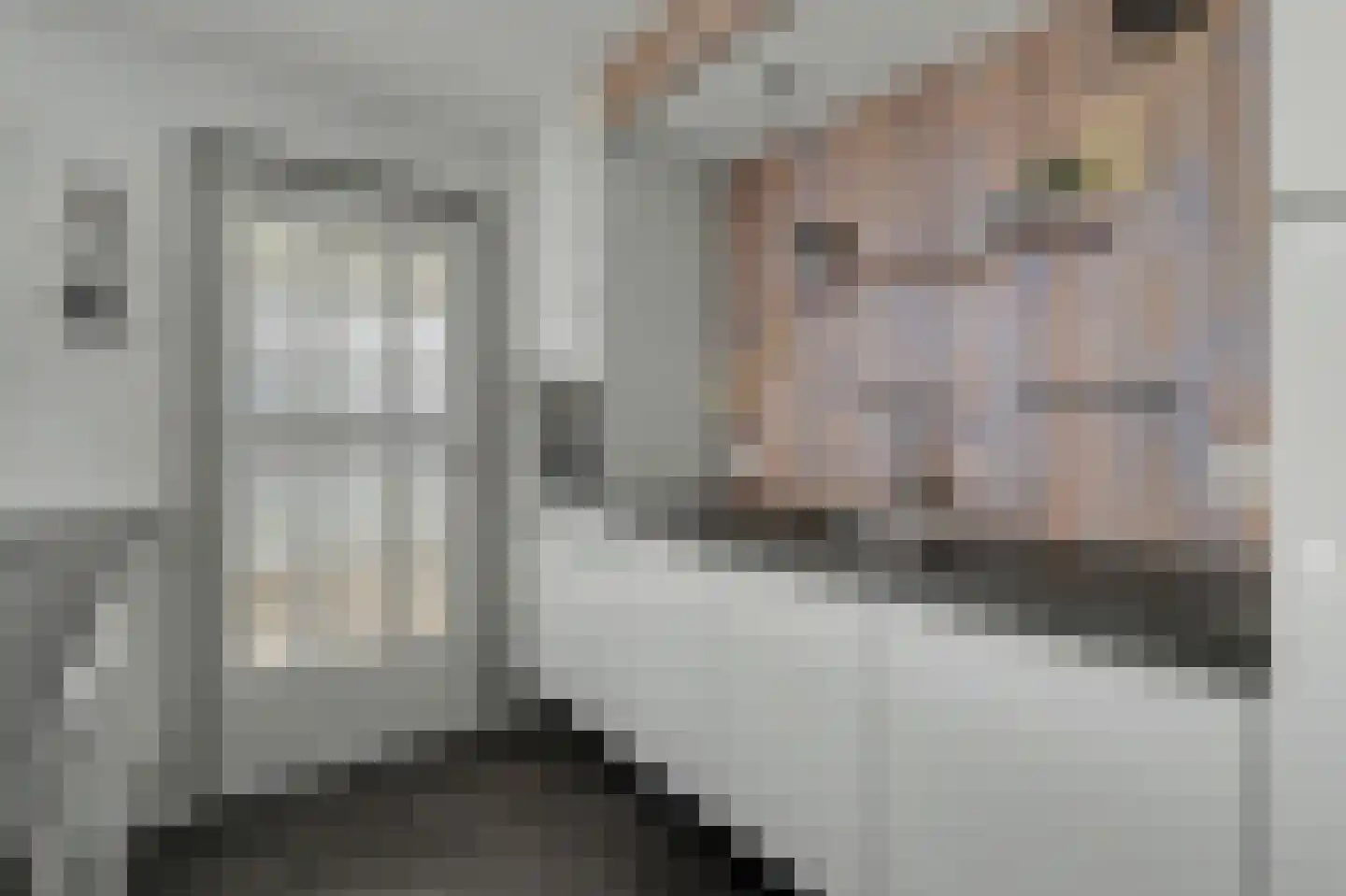 Molenstraat 41 b Goirle thumbnail 16