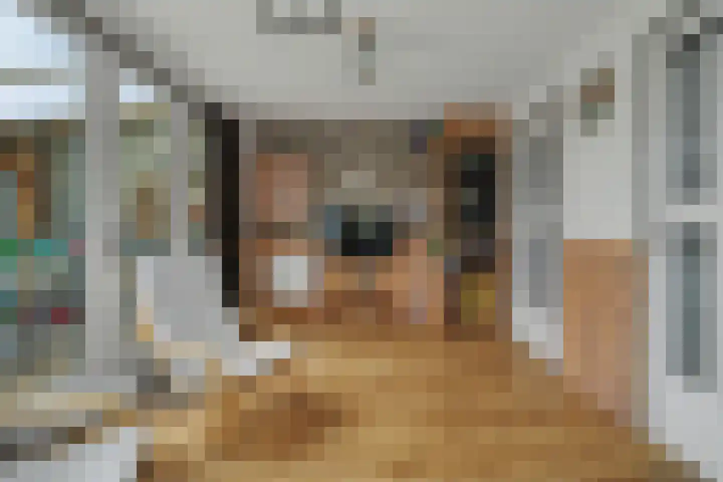 Molenstraat 41 b Goirle thumbnail 17