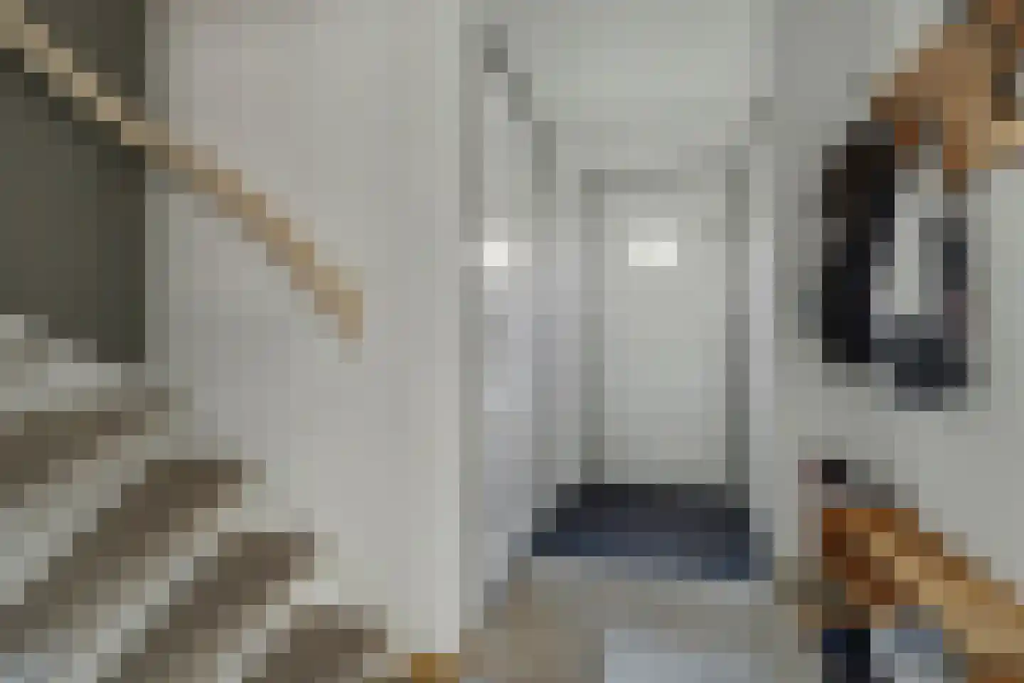 Molenstraat 41 b Goirle thumbnail 20
